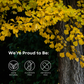 ENERGY: Ginseng + Ginkgo Supplement for Fatigue