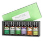 6pcs Essential Oils Set 10ml for Aromatherapy Diffuser